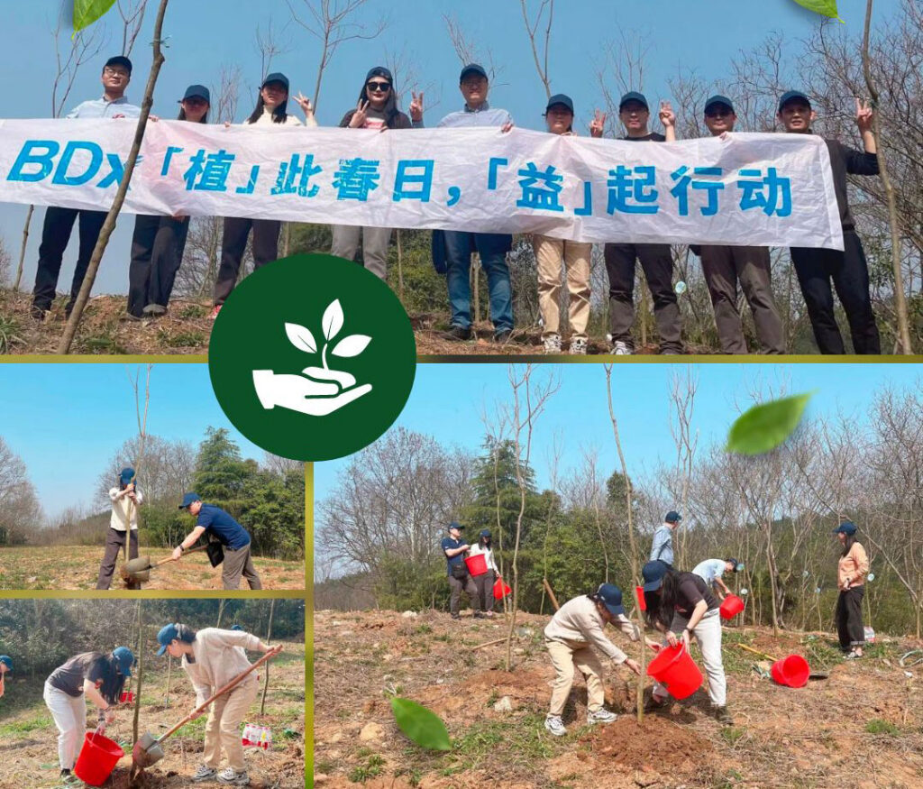 BDx China team volunteering at Laoshao National Forest Park